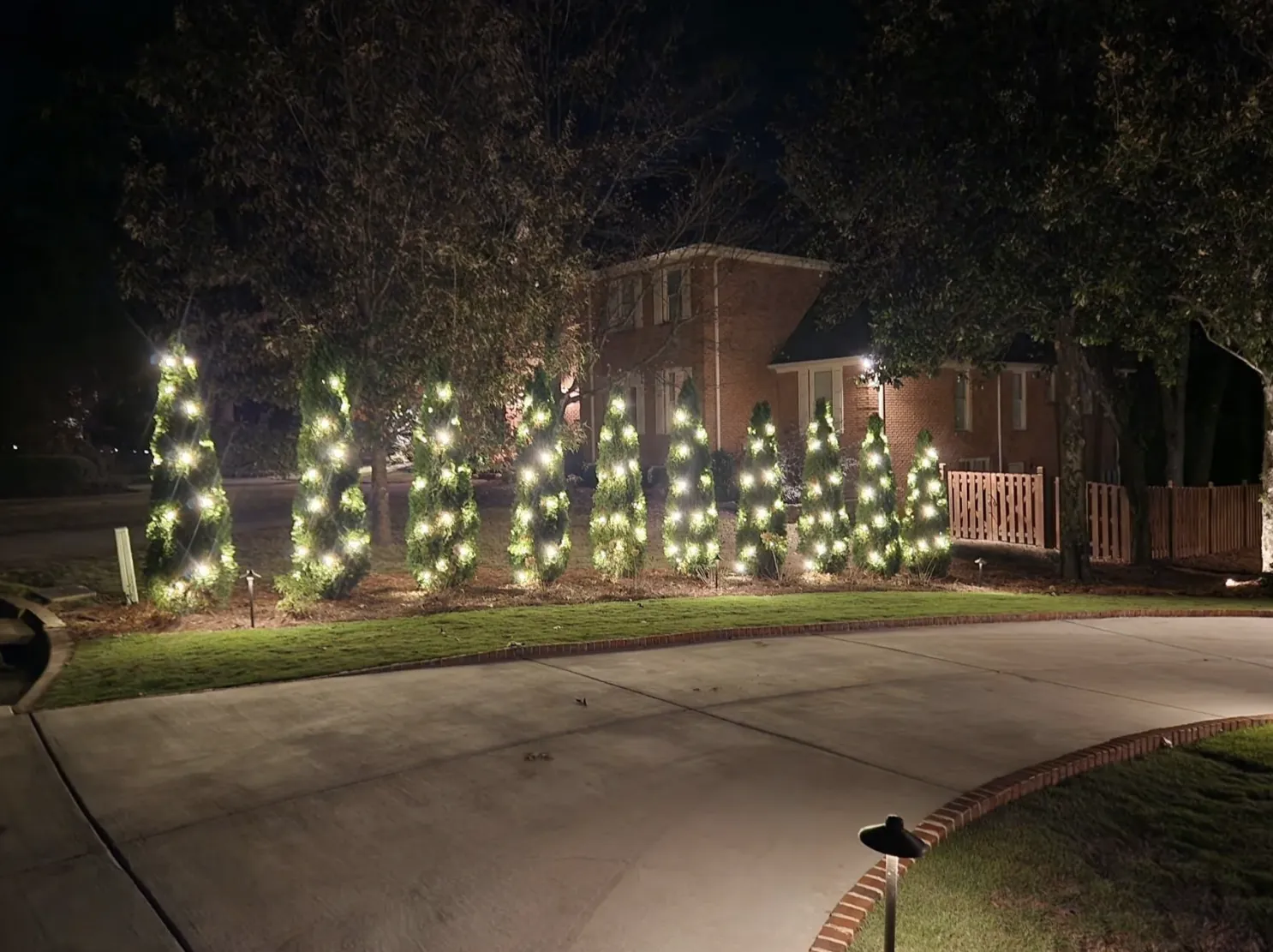 Two evergreens wrapped in white lights flanking a curved driveway after dark.